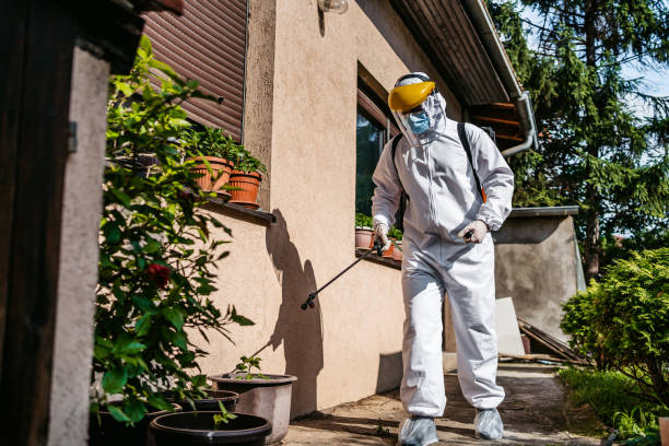Professional Pest Control in Moraine, OH