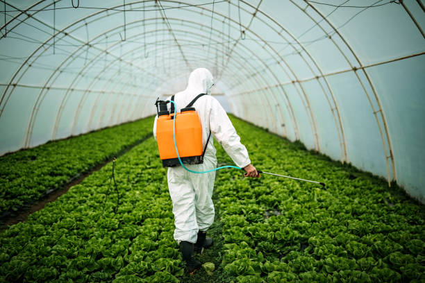 Best Pest Removal Services  in Moraine, OH