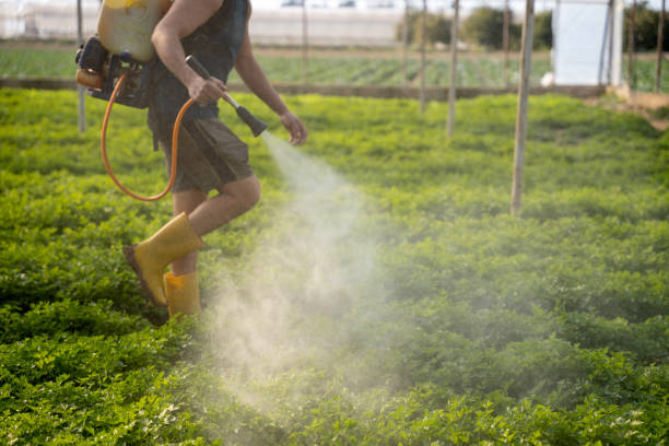 Best Local Pest Control Services  in Moraine, OH